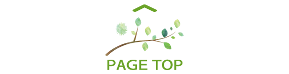 pagetop